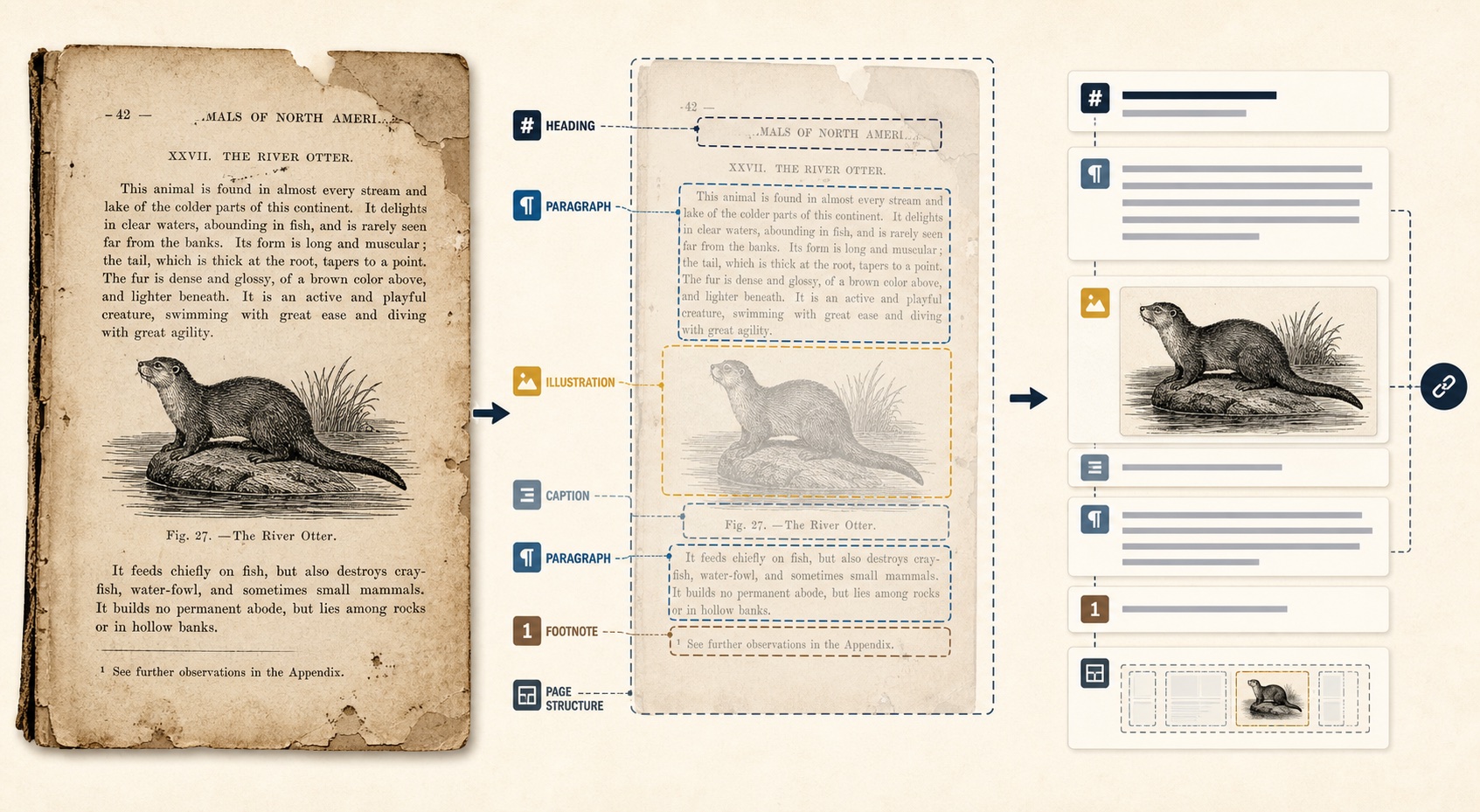 Editorial illustration of an archival book page divided into heading, paragraph, illustration, caption, and footnote regions before becoming structured digital content